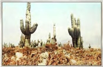 Crestview Cacti Desert Wall Art Panel
