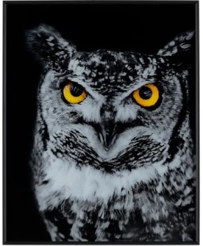 Crestview Hoot Wall Art Panel