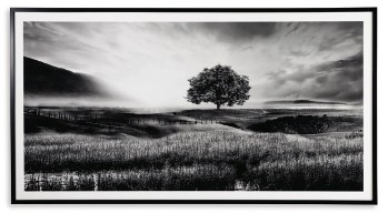 Ashley Tree in Rolling Fields Wall Art