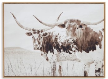 Ashley Longhorns Wall Art