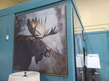 Moose Portrait Wall Art