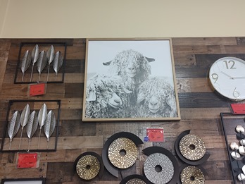 Black & White Long-Haired Sheep Wall Art