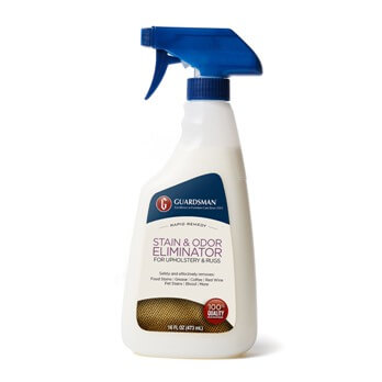 Guardsman Stain & Odor Elminator for Fabric