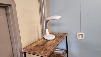 White Adjustable Desk Lamp
