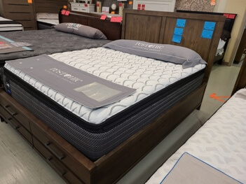 Sealy Performance Evanston Plush Pillow Top Twin Mattress