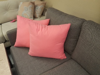 Pink Throw Pillows (set of 2)